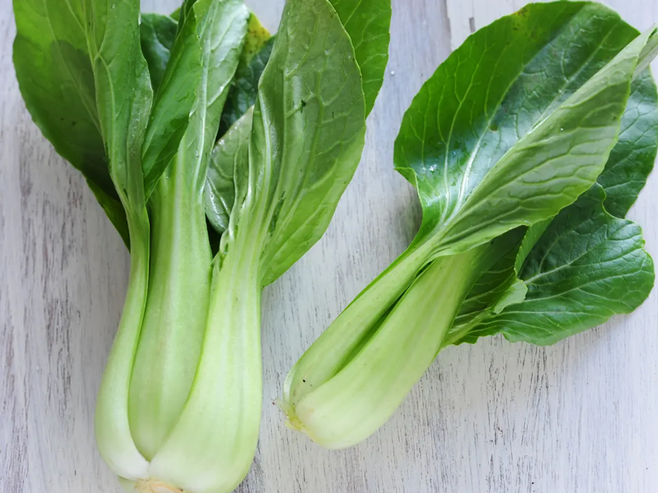 Combinations for Successful Co-planting in Gardens