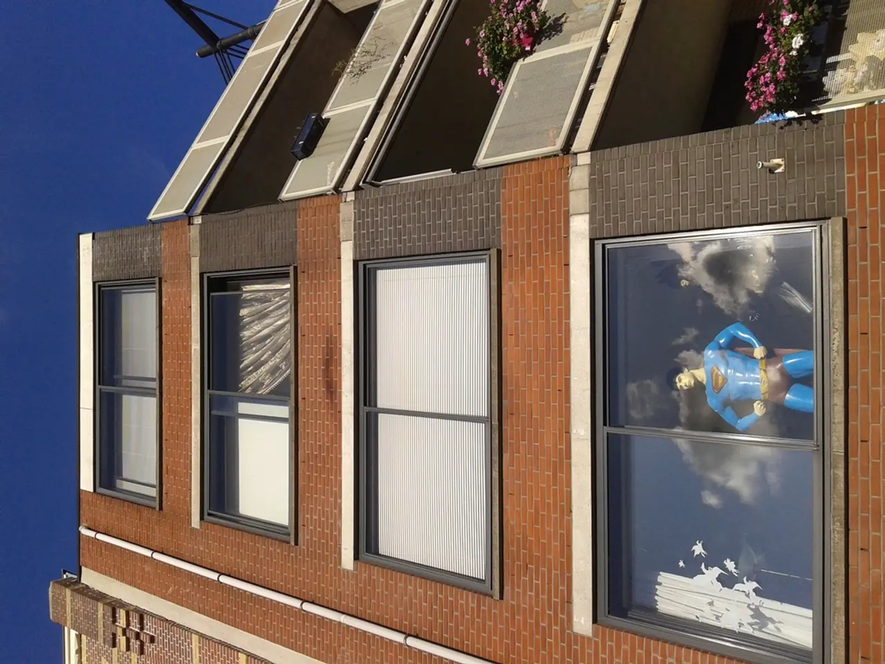 Top Picks for Improving Indoor Air Quality with Houseplants