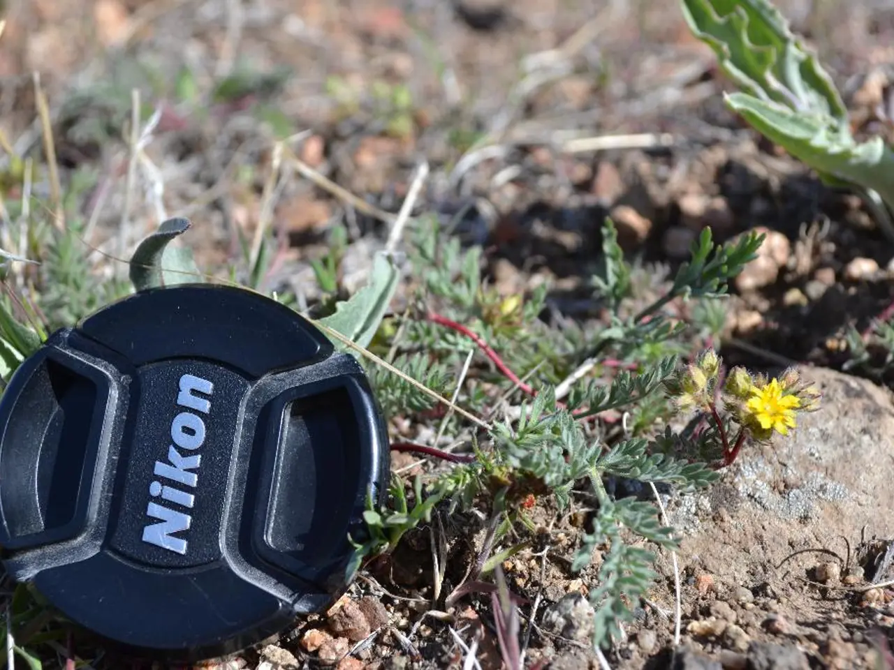 Mastering the Art of Lawn Mowing: Essential Guidelines and Tips