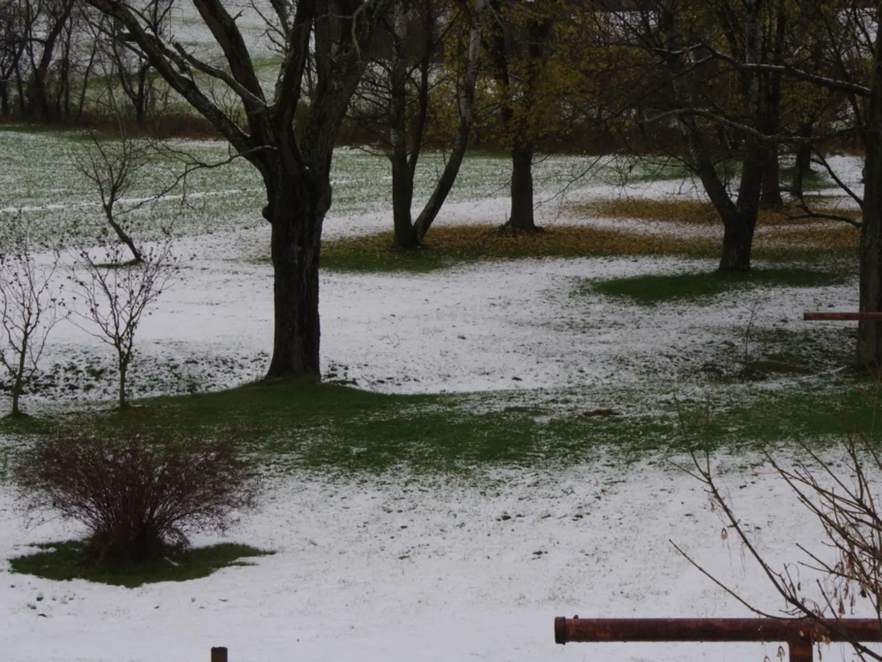 Frustrated with constant gardening woes like digging, weeding, and pest management? Discover...