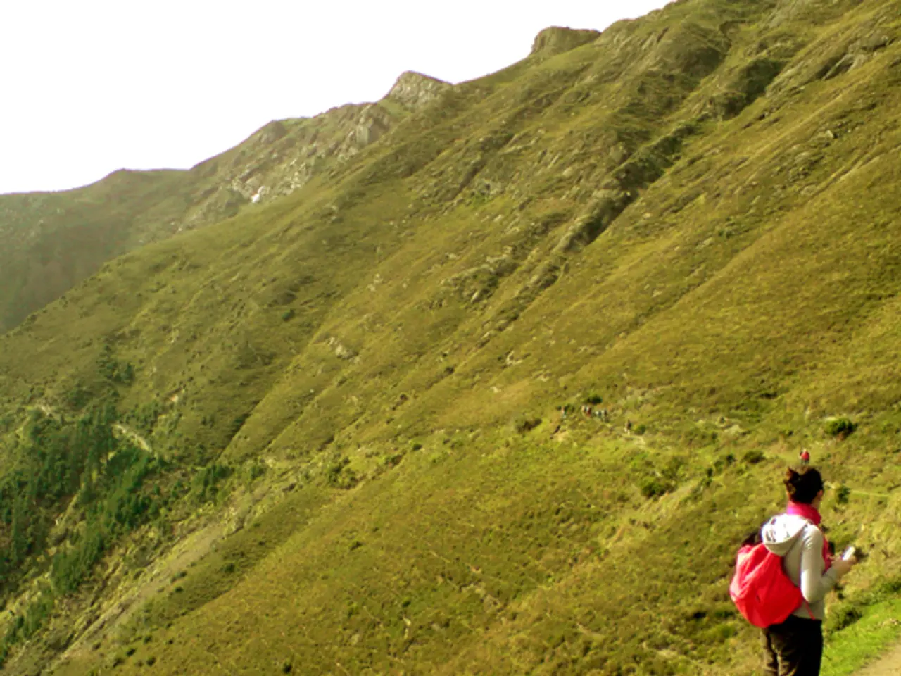 Essential Outdoor Applications for Your Smartphone Selection