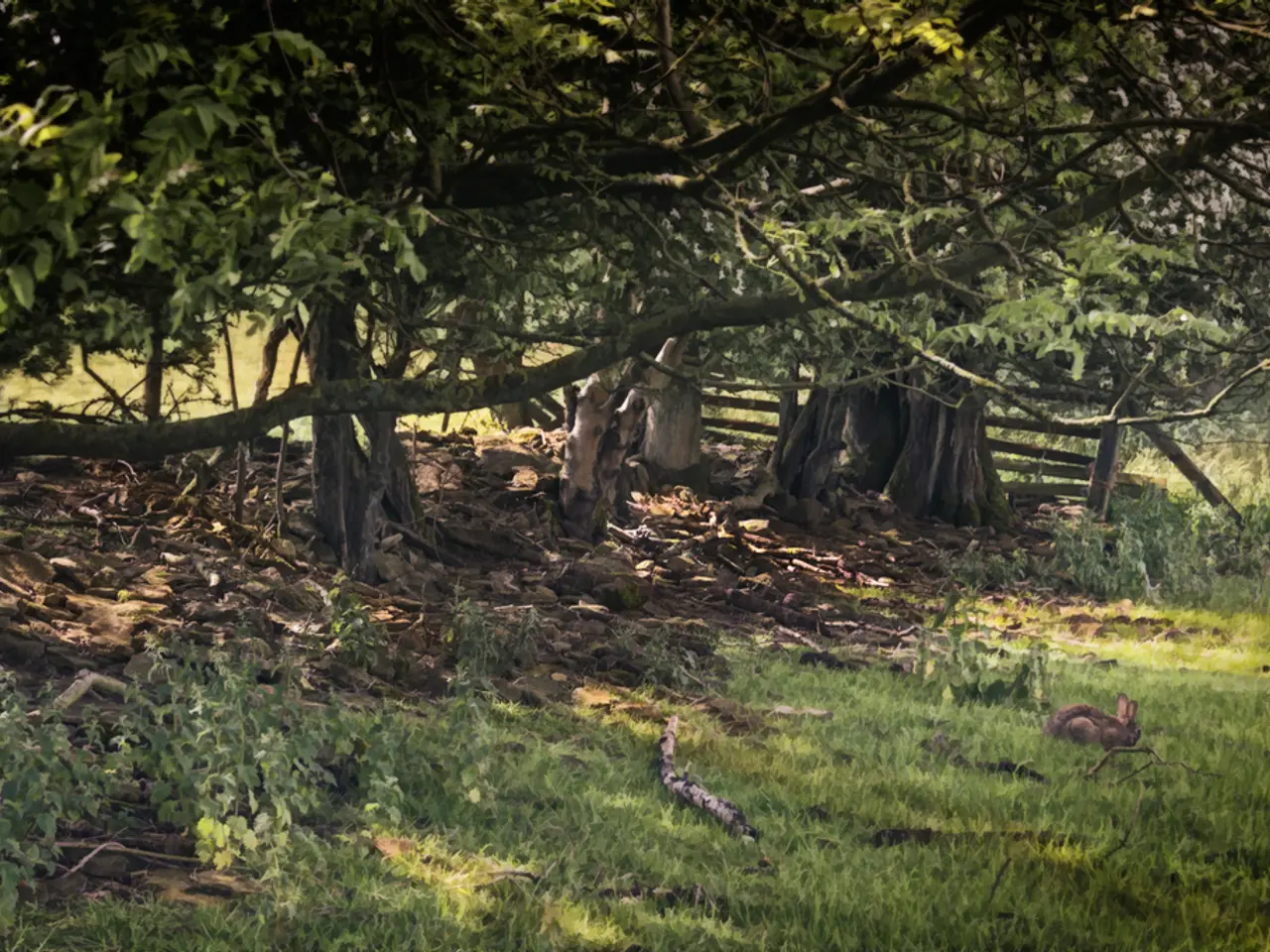 Forestry workshop set for Senior Citizens' Club in Orzesze-Zgon on July 22, 2025, aiming at...