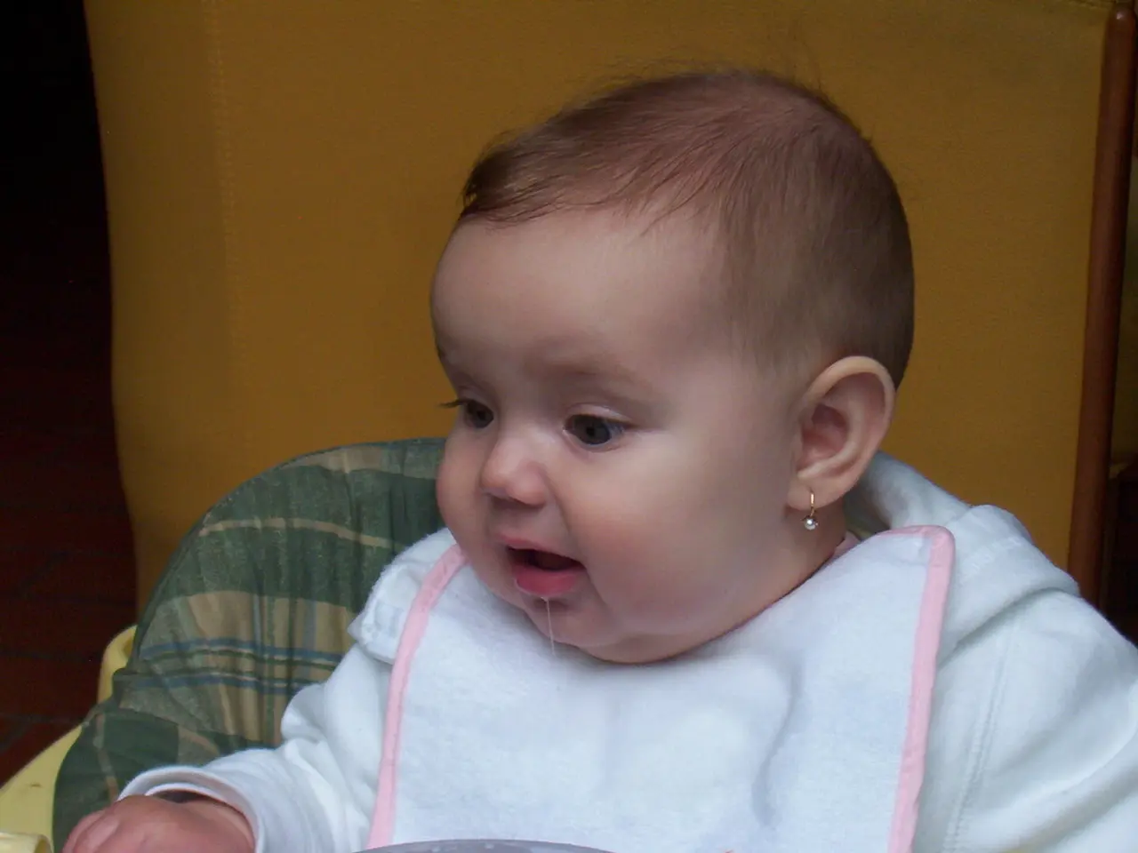 Choosing the Ideal Infant High Chair for Your Little One