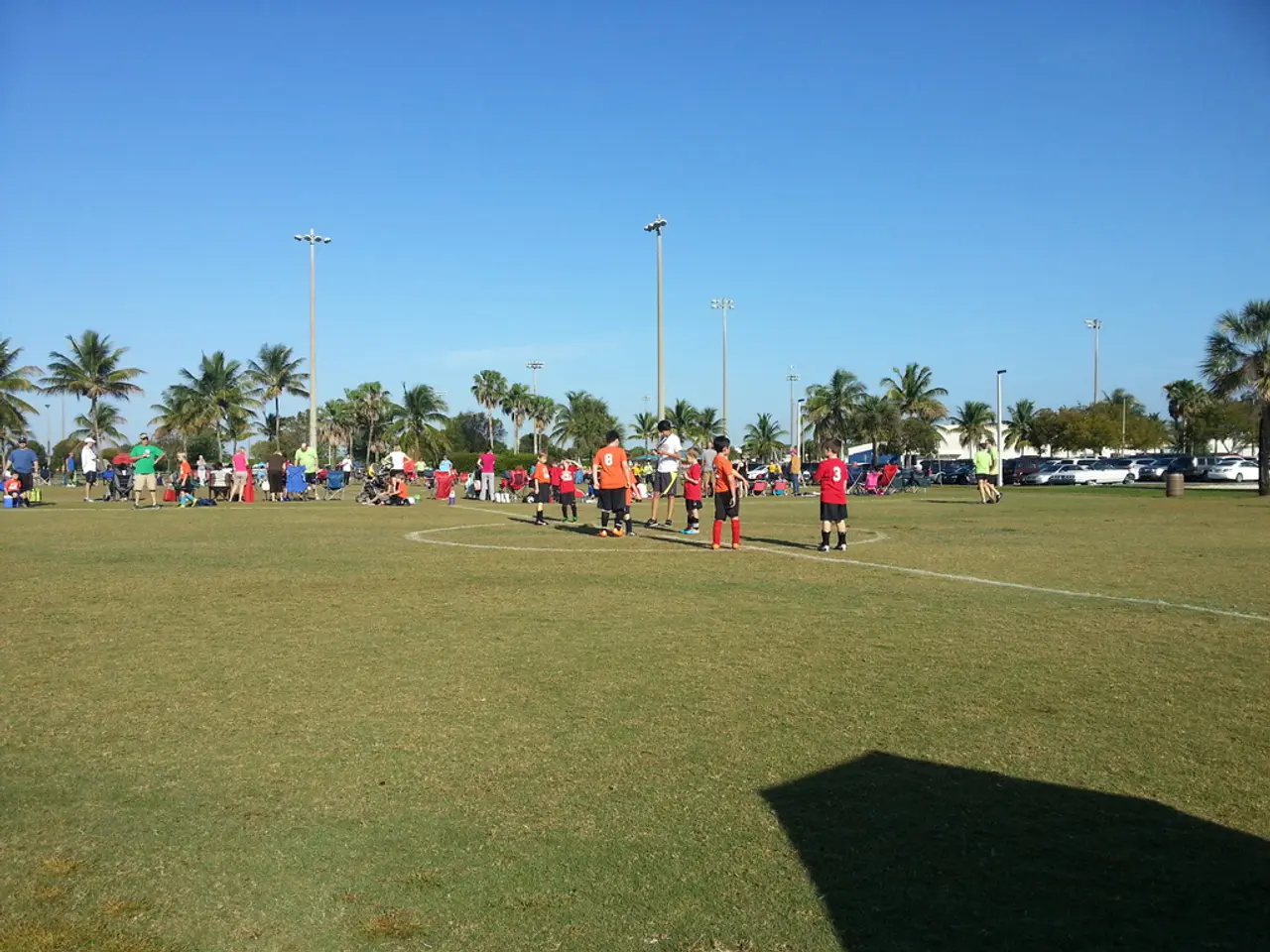 Bird feeding on the edges of Gebelkofen