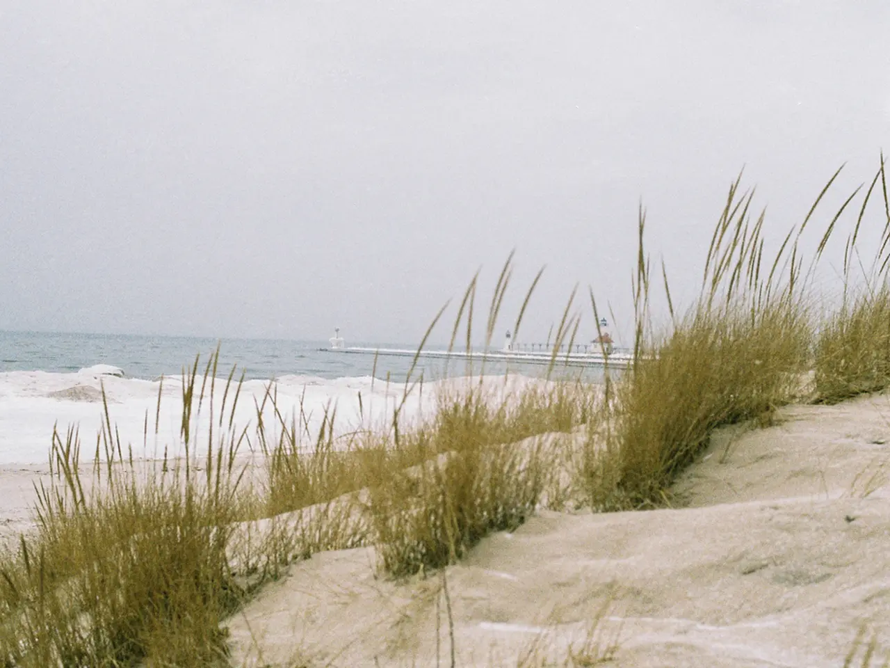 Preparing Lawn Markup in Sand-Prone Terrain: Detailed Walkthrough