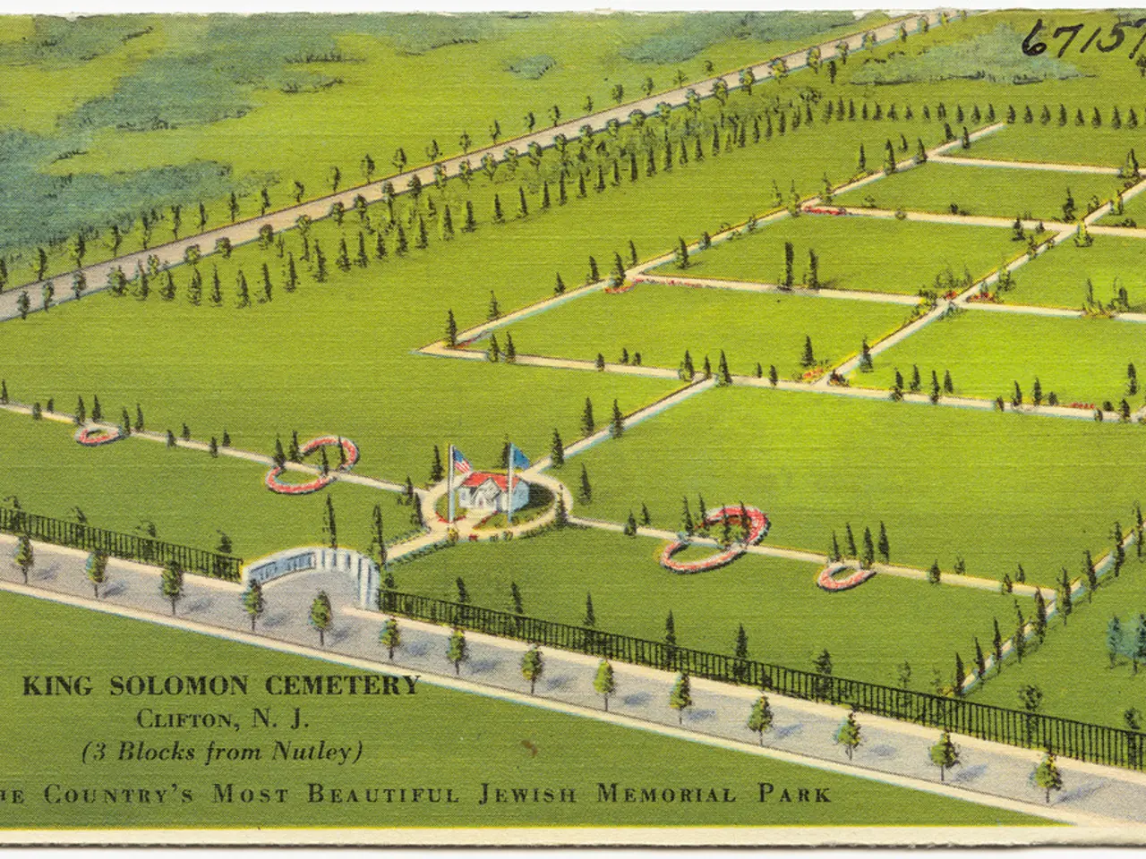 Guide for Defending Against Raccoons and Stone Mares: Safety Measures Explained