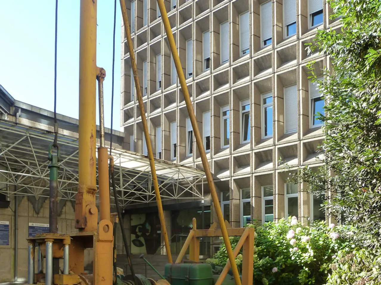 Latest Lawn Mowers in 2024: 11 Varieties Suitable for Multiple Lawn Sizes and Budgets