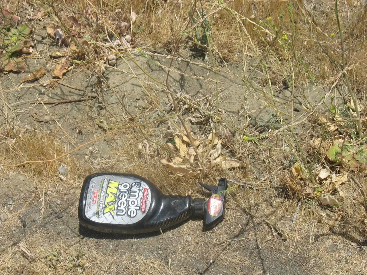 Enhancing Soil Fertility: Techniques for Preparing Soil for Optimal Plant Development