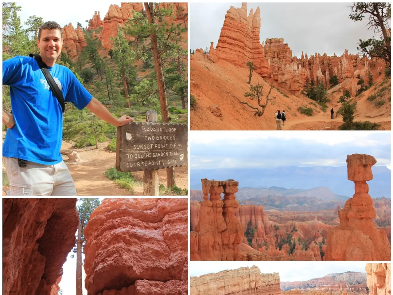 Multiple Possibilities Pinnacle at a Single Landmark