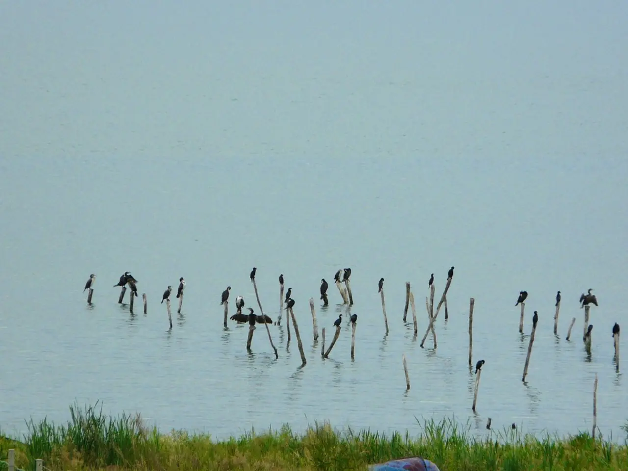 Guided tour for environmental enthusiasts in natural preservation