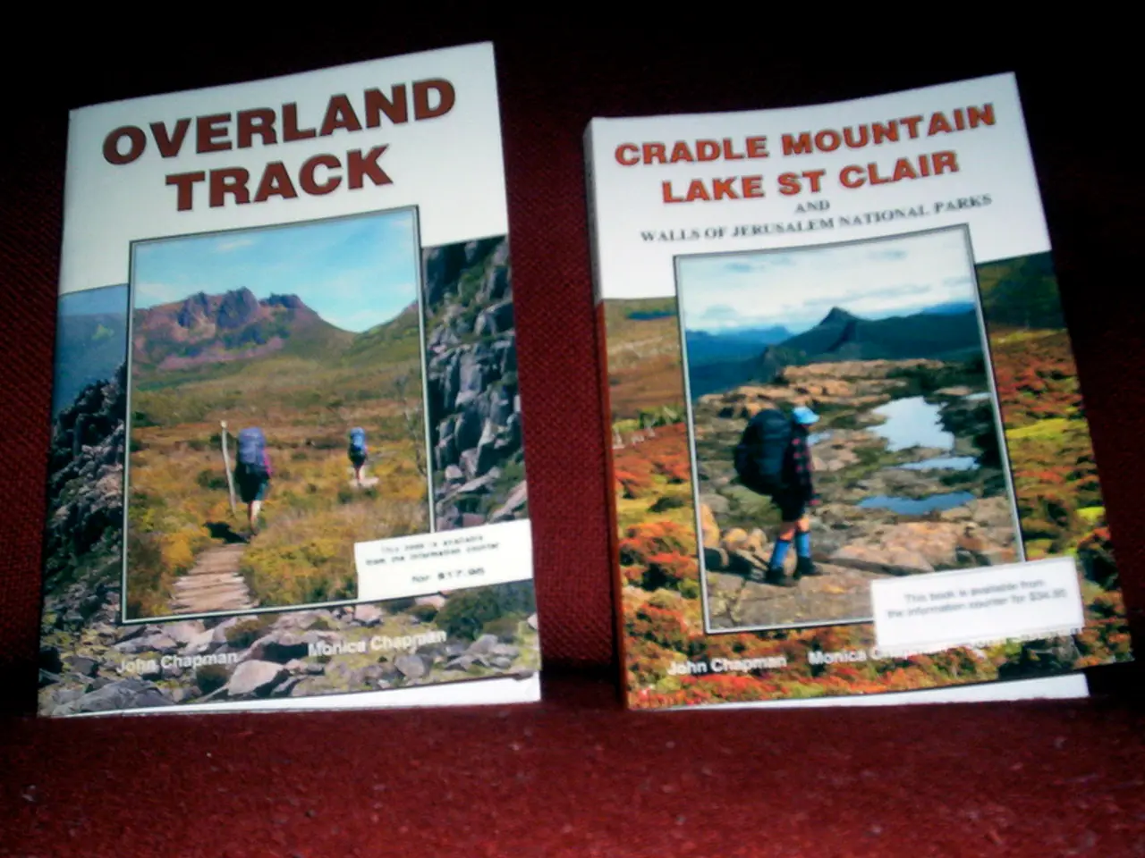 Introducing Popularization of New Zealand's Wildness Skills