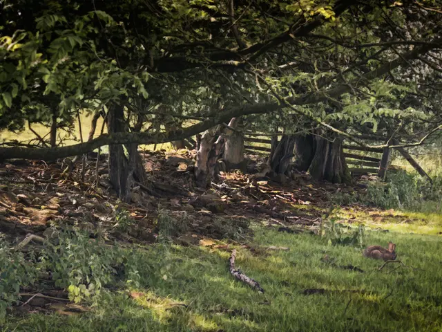 Essential Tips for Nurturing Lush, Vibrant Lawns this Spring