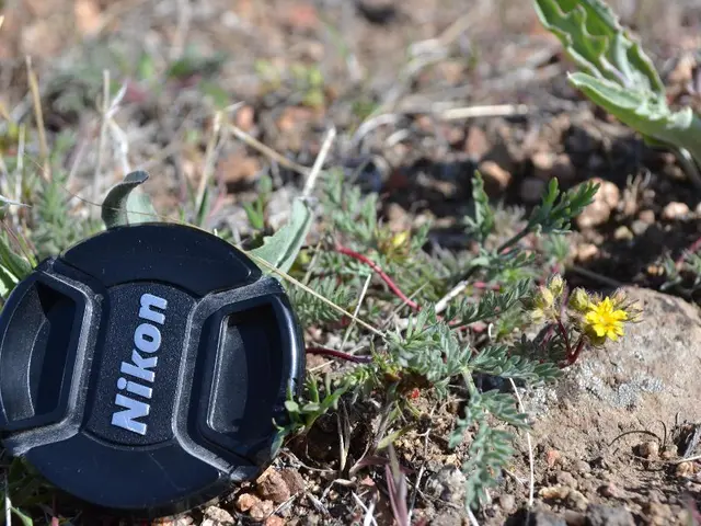 Mastering the Art of Lawn Mowing: Essential Guidelines and Tips