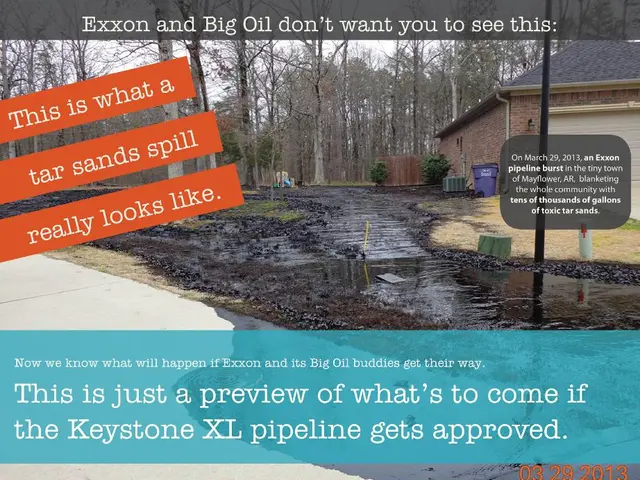 200-Litre Hotbin Composter Evaluation: A Thorough Analysis