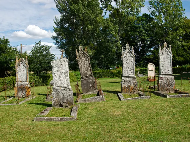 Gardening: penalties for hedge trimming, tree pruning, and compost dealing - expect severe...