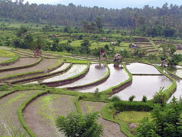 Redesigned Interior Spaces by CASACOR Sao Paulo, Landscaped by Jardim Paulistano Paisagismo