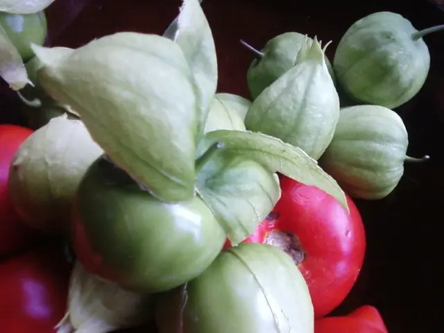 Rapidly Expanding Vegetables for Swift Harvest Yields