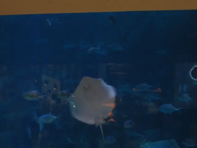 DIY Guide for Building a Fish Bowl Terrarium: Comprehensive Step-by-Step Instructions and...