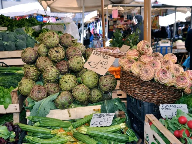 Picnic Day on the Global Scale: Sustainable Concepts Promoting Community Harmony