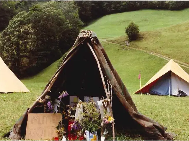 Rapidly available canopy from Aldi, perfect for quick assembly, priced at just £45.