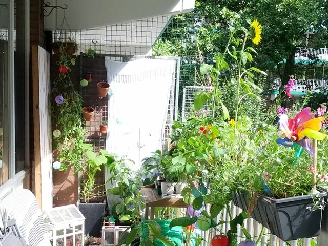 Creating an Affordable Garden from Scratch: Strategies for Achieving a Stunning Garden on a Minimal...