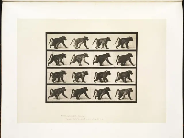 Top Animal Escapes of 2025: A Showcase of Ingenious Breakouts