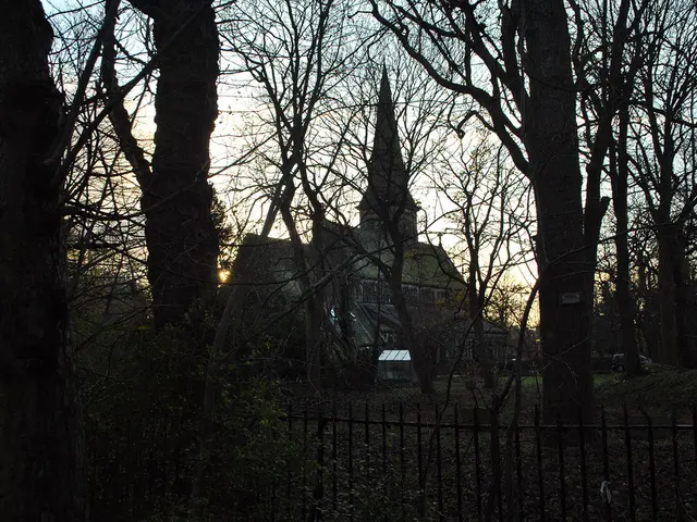 Tips for Sealing and Insulating Your House for Optimal Weather Resistance