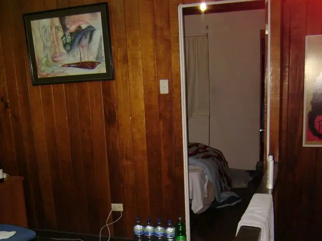 Inexpensive Renovations: Budget-Wise Wall Paneling Tips for a Home Makeover