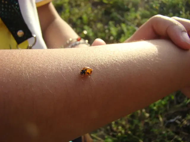 Managing Nimblewill in Lawns: A Guide