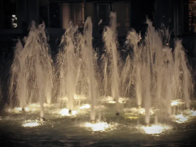 Opening Ceremony for the New Water Fountain Field Held in Leonhard-Eißnert Park