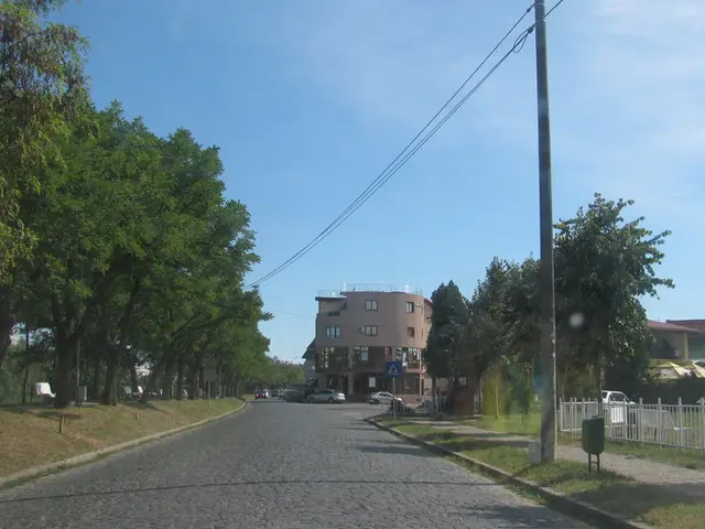 Solar Module Market Growth Forecast: Expected to Reach USD 3151.24 Million by 2034