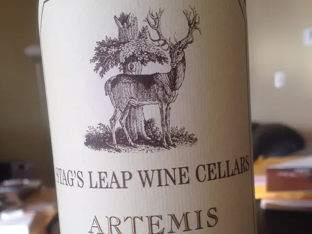 Creating Borax Slime: Simple Steps Explained