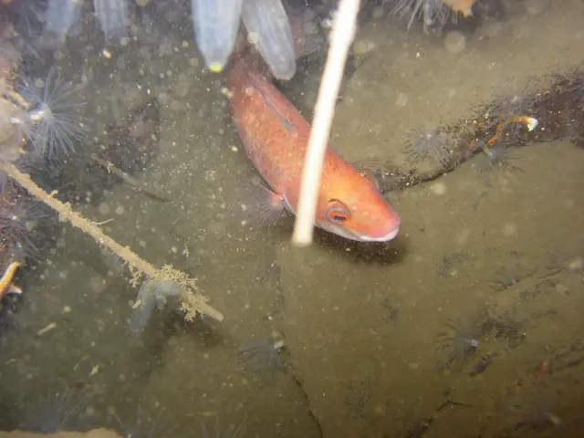 Small-Scale Aquatic Farming: An Affordable Business Venture for Lesser Landholders