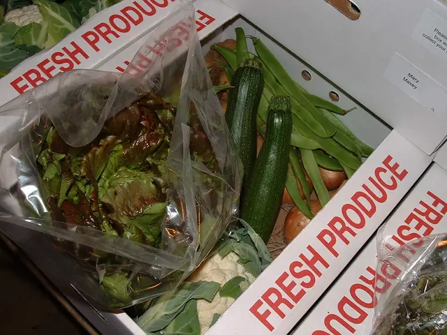 Companion Plants for Eggplants in Your Garden