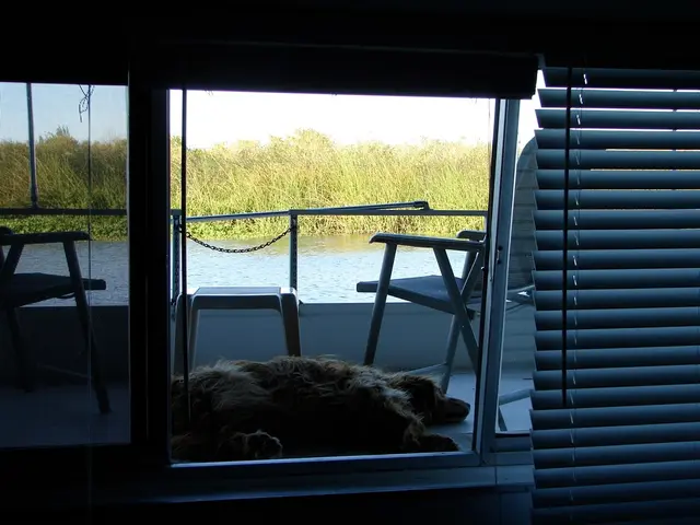 Removing Pet Urine Stains from Synthetic Turf: A Straightforward Guide