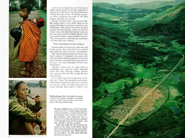 Third edition of the magazine "No Bees, No Life" on our site has been published