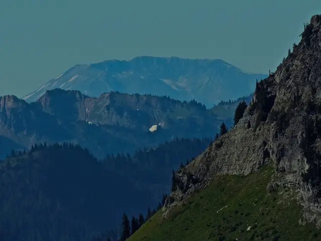 Europe's six grandest forests: Haven for wildlife and timeless marvels (Breathtaking)