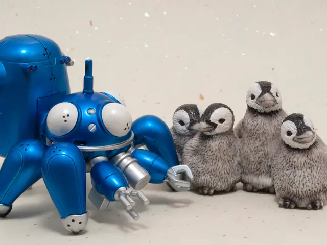 Bears Anna and Elsa Depart from Bremerhaven Zoo Via the Seaside