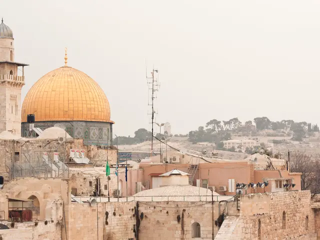 Cow Airmega Model 250 Air Purifier: Essential Information Summarized