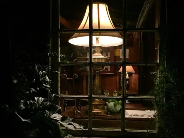 Amazon Delivers 18 Attractive Live Plants for Solace During Lockdown