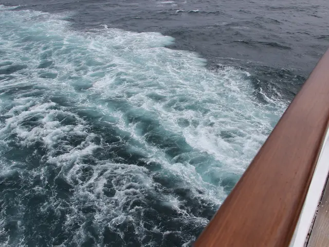 Livestock disappears: No more sheep found on the farm