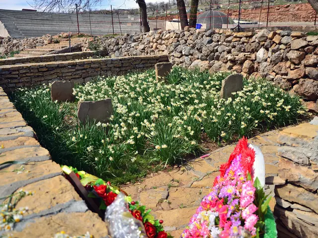 Images of Heart Rock Ranch Showcased