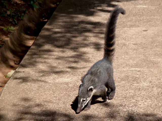 Slowing Down Through Horticulture: Embracing the Calm with Gardening