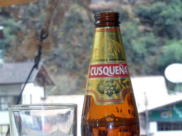 Osnabrück's 2025 Vintage Wine Harvest - Bathed in Sunshine, Inspired by Marketplace Spirit