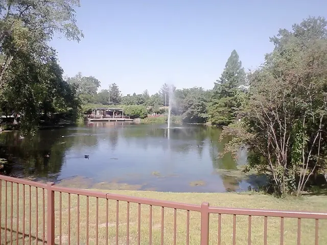 Cultivating Bougainvillea: A Step-by-Step Guide