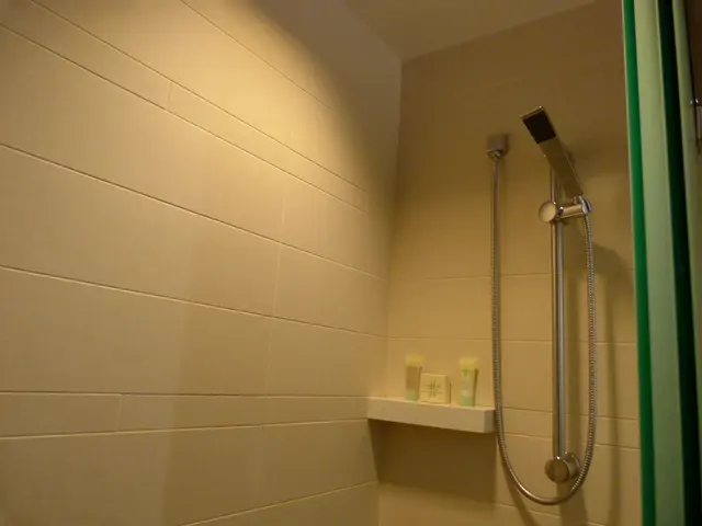 Expert advice on resolving a non-flushing toilet issue