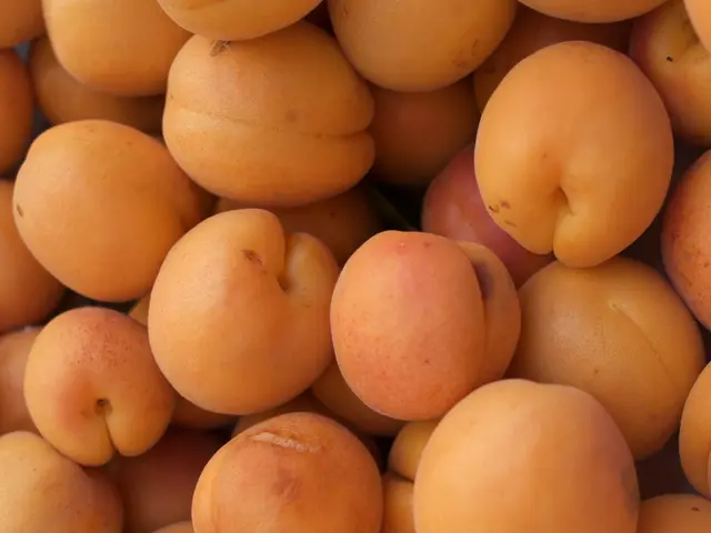 The orange season at La Comer: find out the timing and which items are included in the 2-for-1...