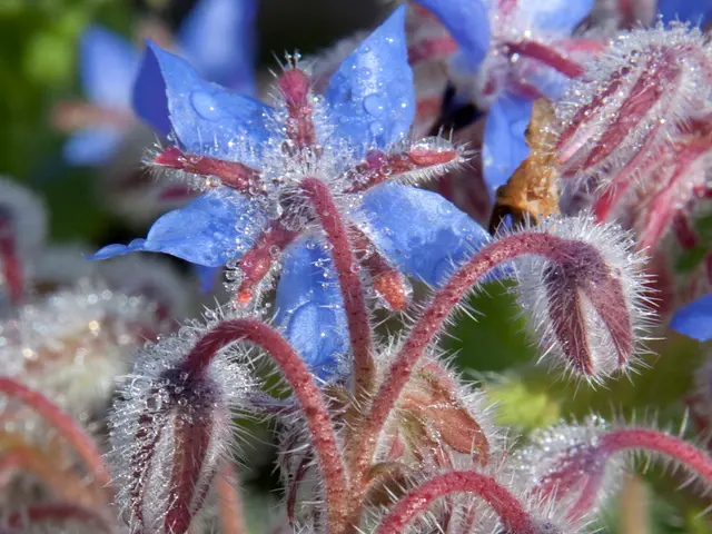 The Question Inquires About the Hue of Indigo