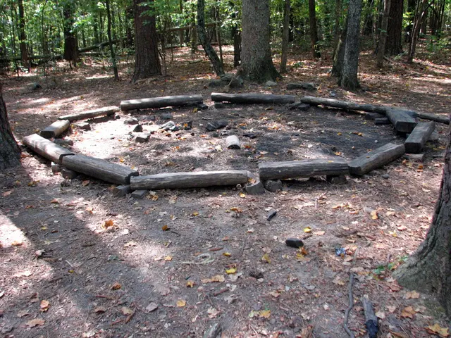 Involved in drafting the directive, as part of the Commission's efforts.