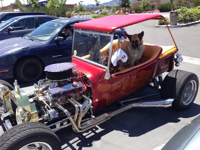Adorable Family Picture Featuring Canine Companions Riding in Miniature Cars of Unique Kind